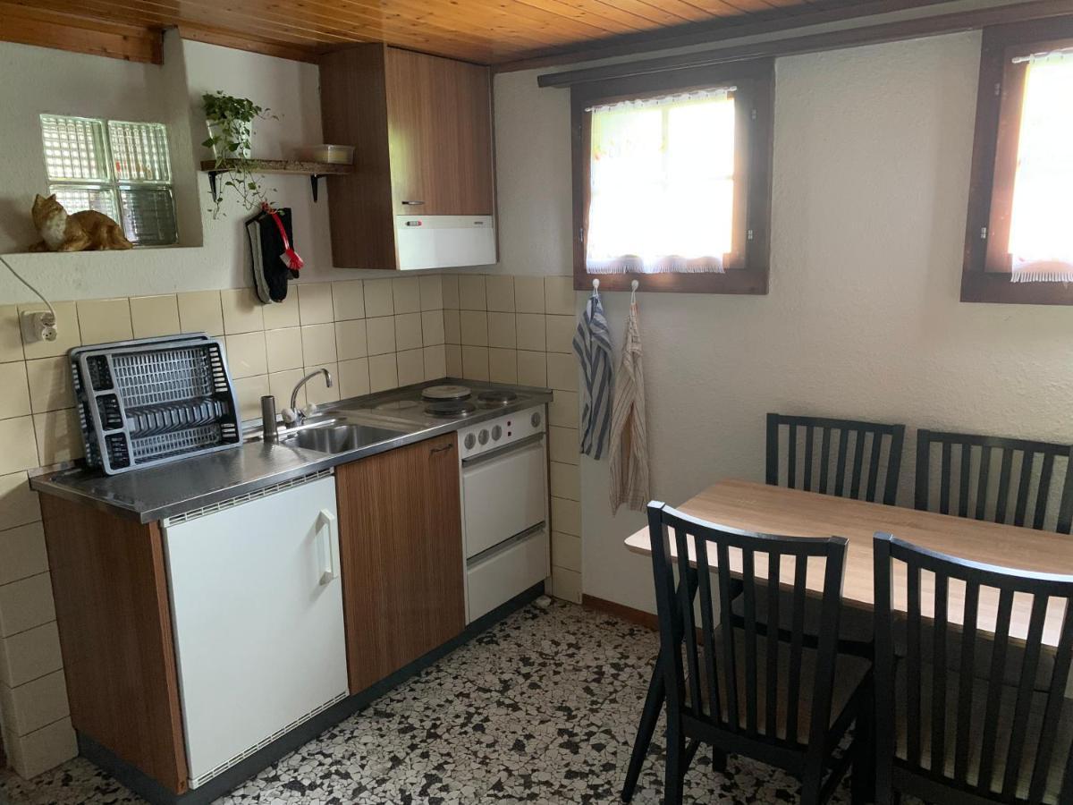Naturnahe Wohnung Fur 1 - 4 Personen Brienz  Buitenkant foto